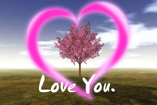 Love Nidhi 10
